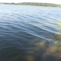 , Barsolis Karol Turysta Kulturowy