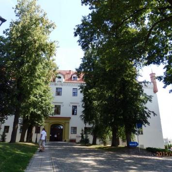 , Barsolis Karol Turysta Kulturowy