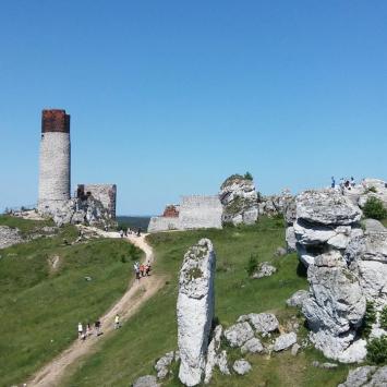 , mokunka