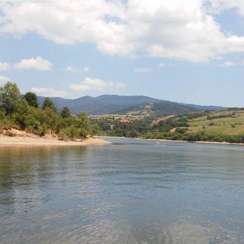 , mokunka