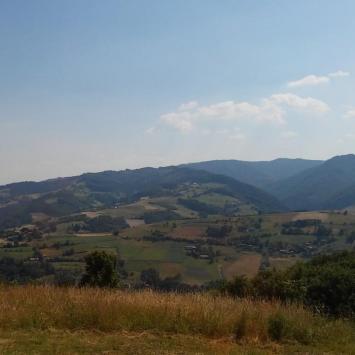 , mokunka