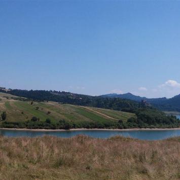, mokunka