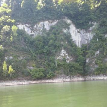 , mokunka