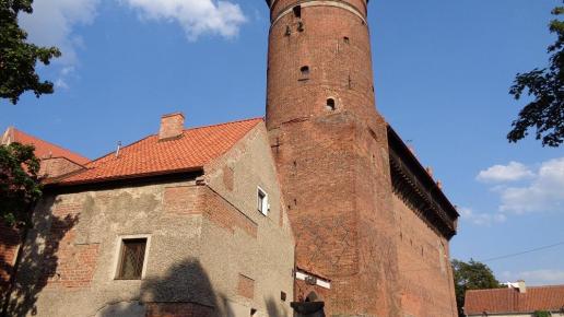 zamek, Danusia