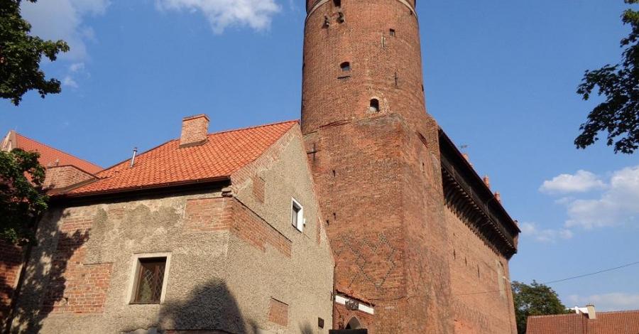 Spacerkiem po Olsztynie - zdjęcie