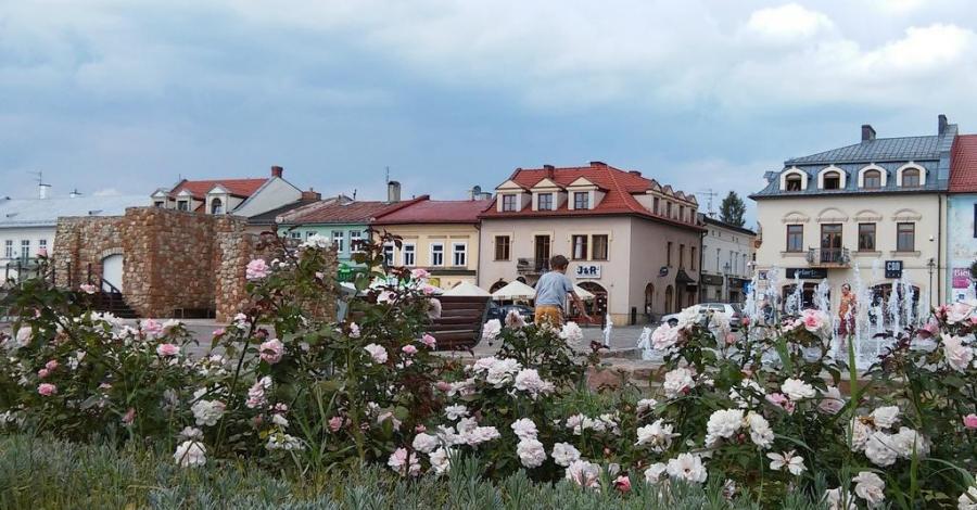 Spacerem po Olkuszu - zdjęcie