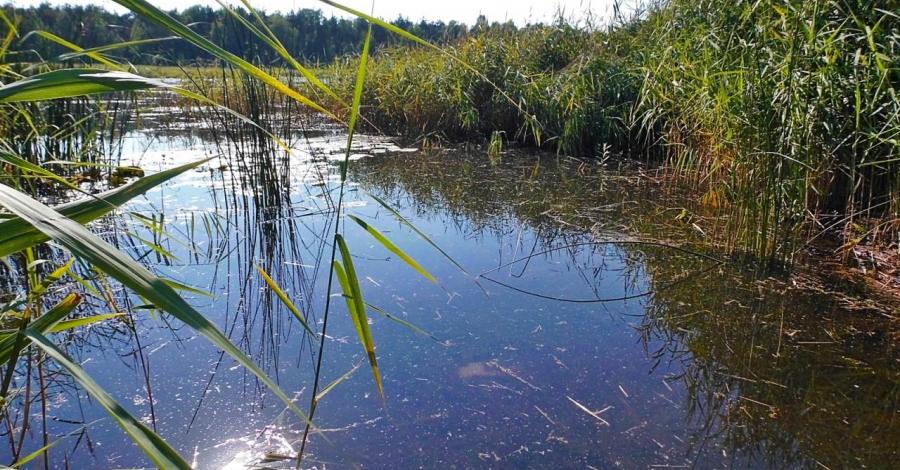 Park Krajobrazowy Stawki rowerem - zdjęcie