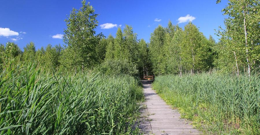 Czerwone Bagno i pierwsze jezioro mazurskie - zdjęcie