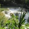 NP Krka, marian