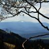 , kubarek23