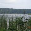jezioro Studzieniczne, Danusia