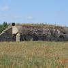 II Fort Zarzeczny Twierdzy Osowiec, Danusia
