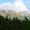 Tatry Bielskie zza krzaków :-), Maciej A