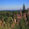 Beskid Sądecki - Jaworzyna Krynicka