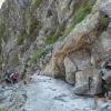 , Patrycja Rafał M.