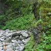, Patrycja Rafał M.