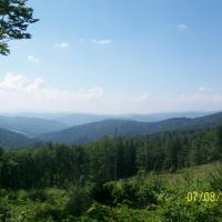 , mirosław