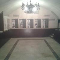 Pałac Branickich-piwnice, Danusia