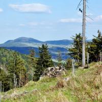 , kubarek23