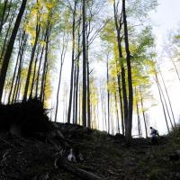 , kubarek23