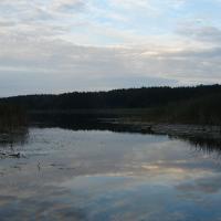 , stanisław m