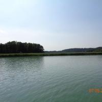 , Danusia