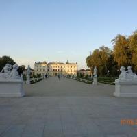 Pałac Branickich, Danusia