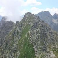 , Patrycja Rafał M.