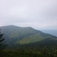 , Patrycja Rafał M.