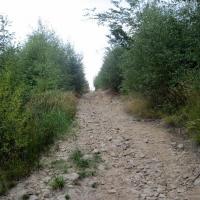 podejscie pod Czupel 882mnpm, Roman Świątkowski
