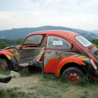 garbus przy schr.telesferówka, Roman Świątkowski