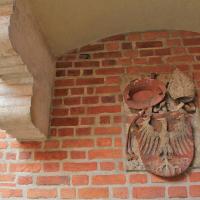 Collegium Maius w Krakowie