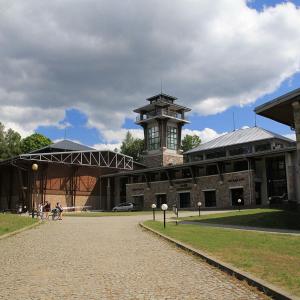 Białowieża