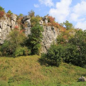 Dolina Kluczwody