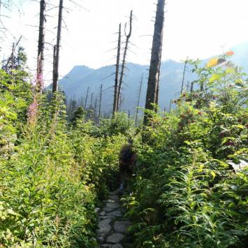Dolina Pięciu Stawów Polskich- Tatry - zdjęcie