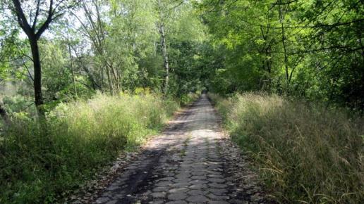 Las Zagórski, Roman Świątkowski