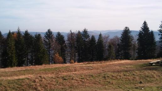 , Patrycja Rafał M.