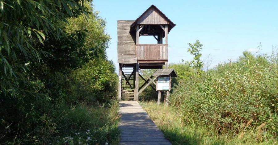 Biebrzański Park Narodowy - zdjęcie