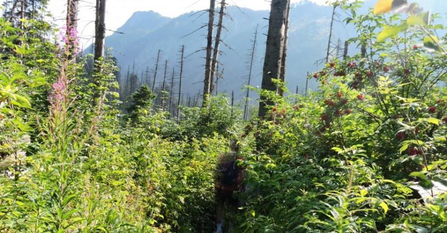 Dolina Pięciu Stawów Polskich- Tatry - zdjęcie