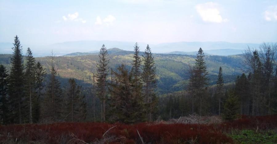 Słowianka, Romanka - zdjęcie