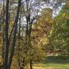 Park, Danusia