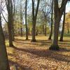 Park, Danusia