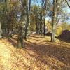 Park, Danusia