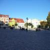Rynek, Danusia