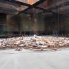 Muzeum Podziemi Rynku Krakowskiego, Lucy i Tom