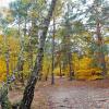 stąd według zielonej strzałki na górę zborów, Magdalena