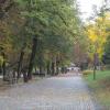 Park 3 Maja, Tadeusz Walkowicz