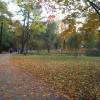 Park Staszica, Tadeusz Walkowicz