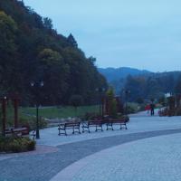 Szczawnica wieczorem, Tadeusz Walkowicz
