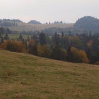 Na szlaku, Tadeusz Walkowicz